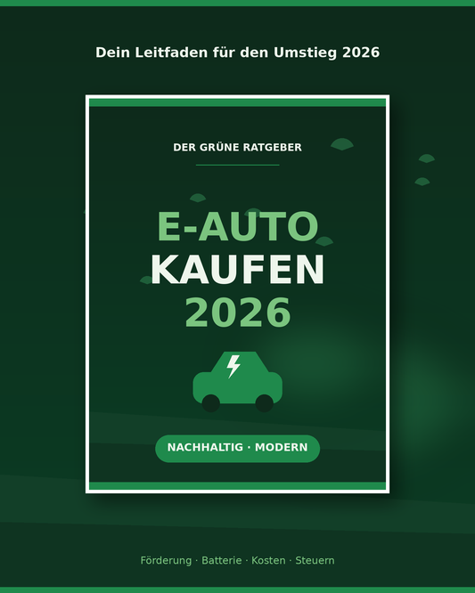 E-Auto - Wie finde ich das passende  & was muss ich Alles beachten